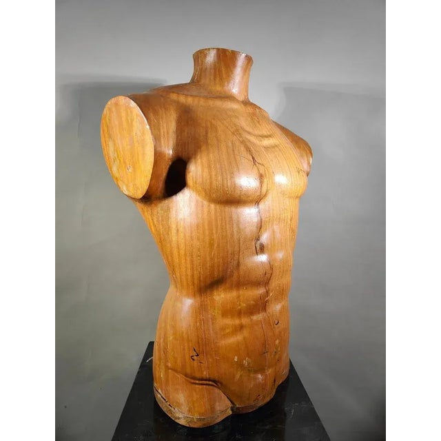 Wood French Wooden Male Torso, 1950s For Sale - Image 7 of 13