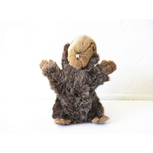 Rustic European Vintage Steiff Beaver Stuffed Animal For Sale - Image 3 of 8