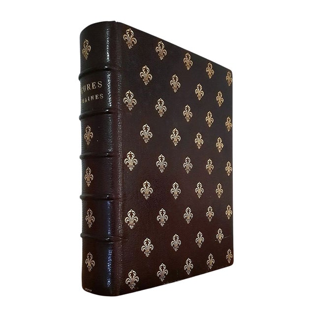 Late 19th Century (1885) Boxed Roman "Book of Hours" With Noble Provenance - Illustrated Antique Devotional Christian Bible Art For Sale - Image 5 of 18