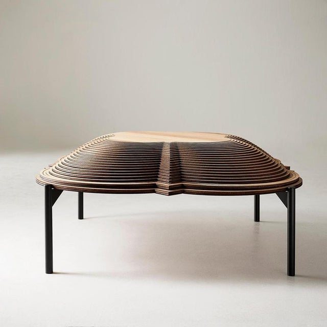 Dome Collection Coffee Table by Sebastiano Bottos For Sale - Image 6 of 13
