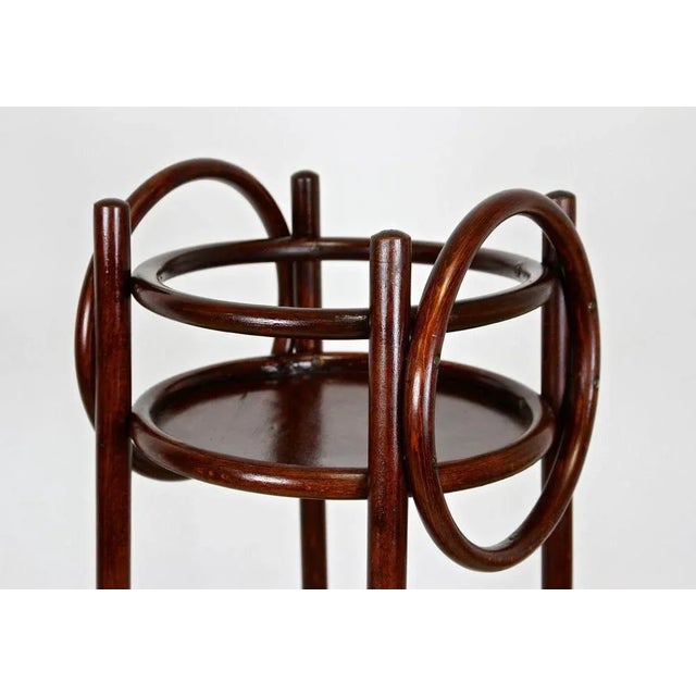 Unusual bentwood pedestal or plant stand made by the famous company of Thonet in Vienna around 1906. This artfully...
