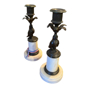 19th Century French Pair of Bronze Owl Candle Sticks