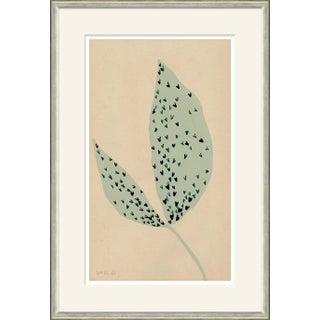 Forest Floor Framed Art Print by Susan Hable For Sale