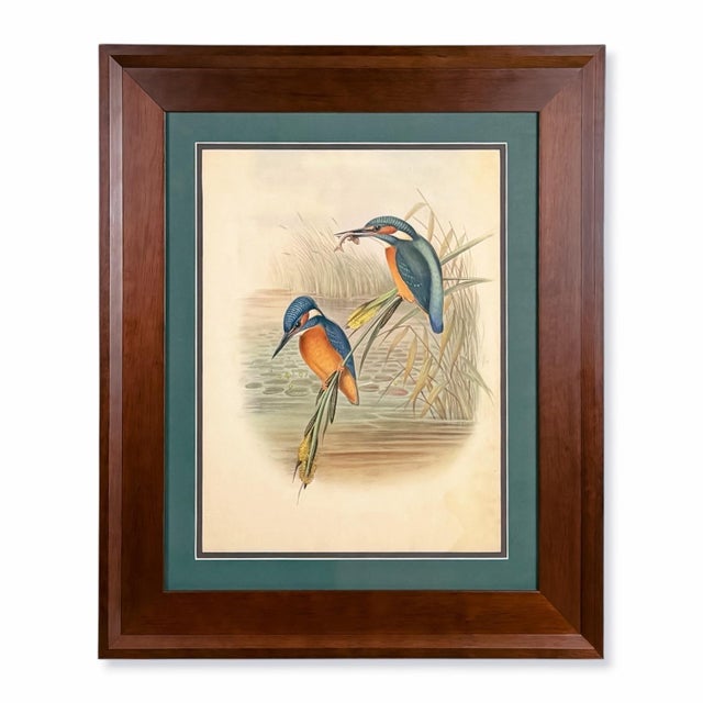 Wood 19th-Century John Gould Kingfisher Bird Lithograph | Original Hand-Colored Natural History Print For Sale - Image 7 of 12