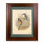 Wood 19th-Century John Gould Kingfisher Bird Lithograph | Original Hand-Colored Natural History Print For Sale - Image 7 of 12