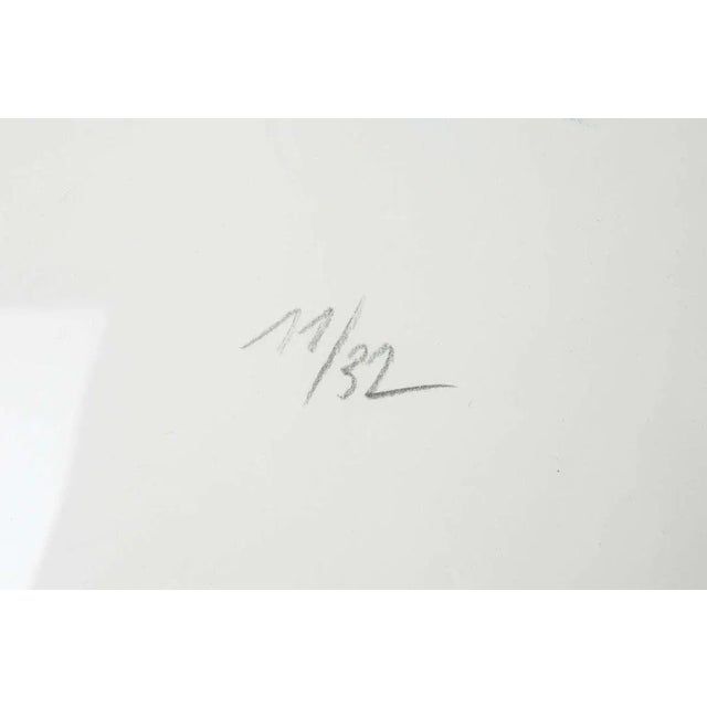 The 3 Sisters No. 11 Screenprint by Enki Bilal For Sale - Image 6 of 8