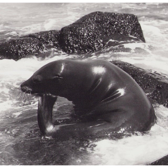 Hanna Seidel (1925 to 2005) lived and worked in Argentina for many years. She was a world traveller, journeying to South...