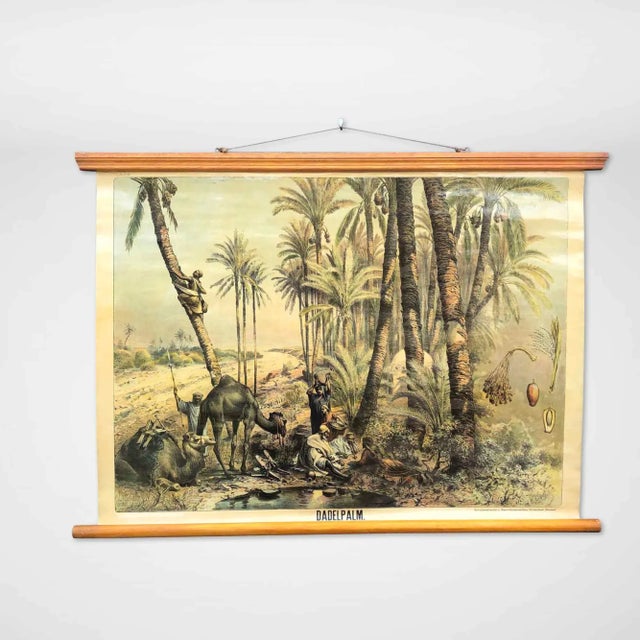 Green Vintage School Wall Chart, 1950s For Sale - Image 8 of 8