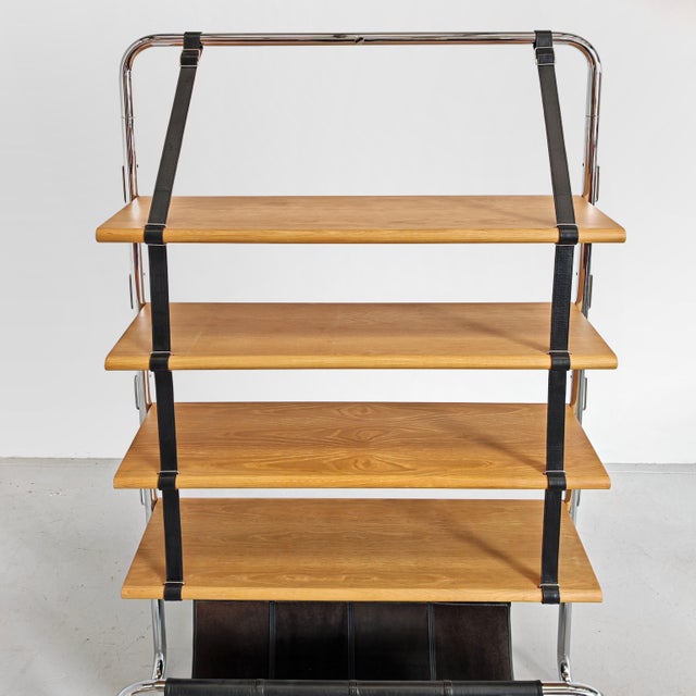 Jumbo Line Bookcase by Luigi Massoni for Poltrona Frau, 1970s For Sale - Image 18 of 18