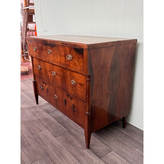Antique Mid-19th Century Biedermeier Walnut Chest of Drawers, Germany For Sale - Image 3 of 18