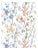 Sample - The House of Scalamandré Potpourri Wallpaper, Garden Multi For Sale