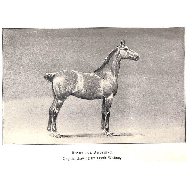 "Our Noblest Friend the Horse" 1903 Ware, Francis M. For Sale In New York - Image 6 of 10