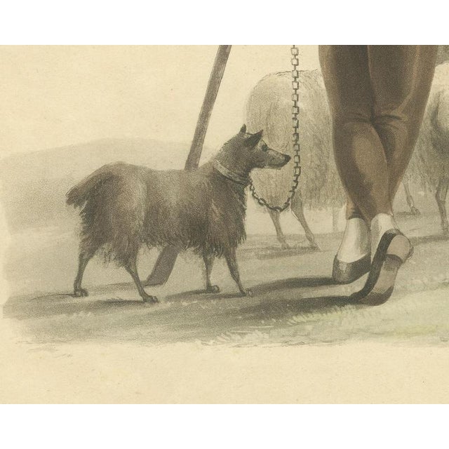 19th Century After Miss Semple, Shepherd Near Valenciennes with His Flock, 1817, Engraving For Sale - Image 5 of 9
