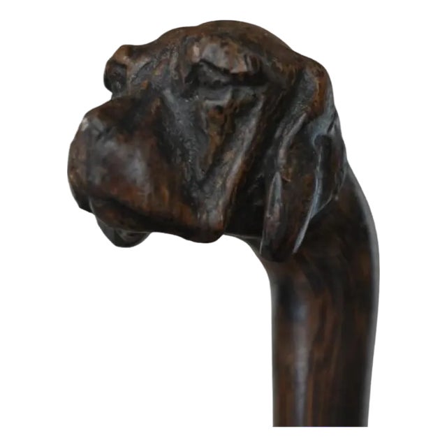 Antique Cane Carved with Dogs Head, 1900 For Sale