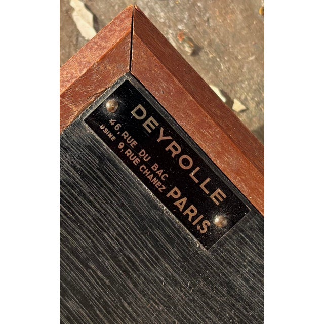 Industrial Medical Eviscerated Ear after Deyrolle, 1960 For Sale - Image 3 of 11