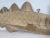 Six Foot Carved Wood Codfish For Sale - Image 12 of 12