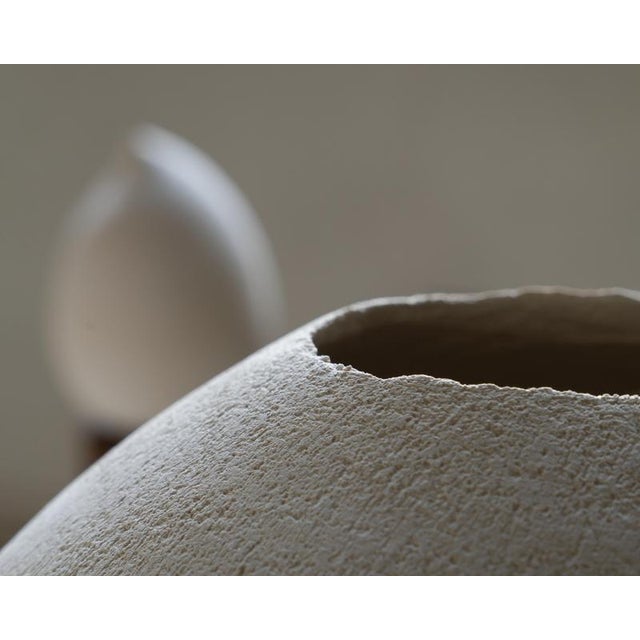 Jug by Laura Pasquino For Sale - Image 11 of 12