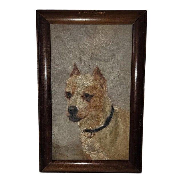 Mid 20th Century Framed PitBull Terrier Oil Painting For Sale