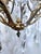 1910s French Style Brass Chandelier For Sale - Image 12 of 17