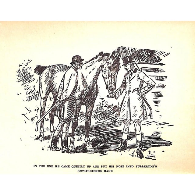 Paper "Hoof Beats From Virginia & Other Lands" 1912 Hichborn, Philip For Sale - Image 7 of 7