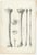 Early 19th Century Jules Cloquet, French Anatomical Foot and Lower Limb, 1821, Lithograph, Set of 3 For Sale - Image 5 of 9