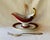 Antique Pirkenhammer Ruby Red Porcelain Sauce Boats With Gilt Bacchus Handles — Pair For Sale - Image 11 of 18