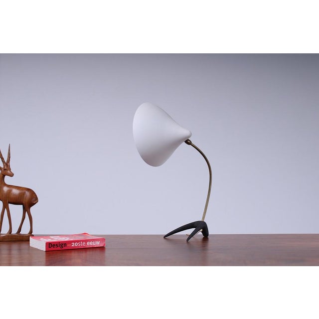 White Crowfoot Table Lamp from Cosack Leuchten, 1950s For Sale - Image 6 of 16