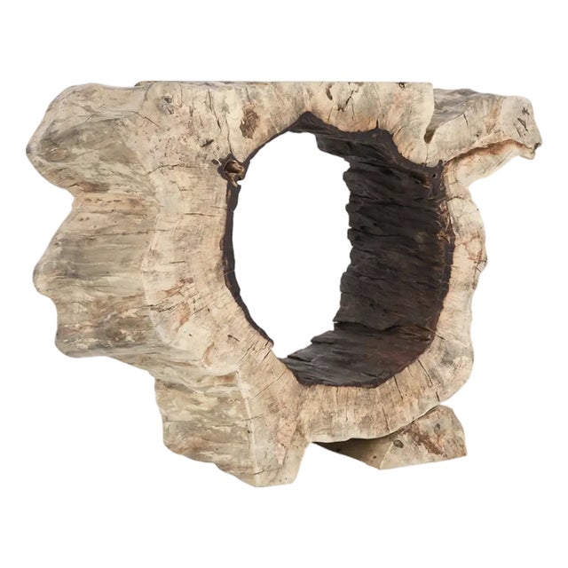 Classic Home Furniture Organic Console a Dramatic Blend of Art and Nature. For Sale