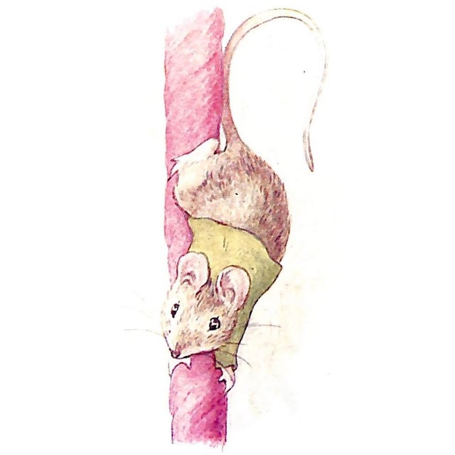 Paper "The Story of Miss Moppet" Potter, Beatrix For Sale - Image 7 of 8