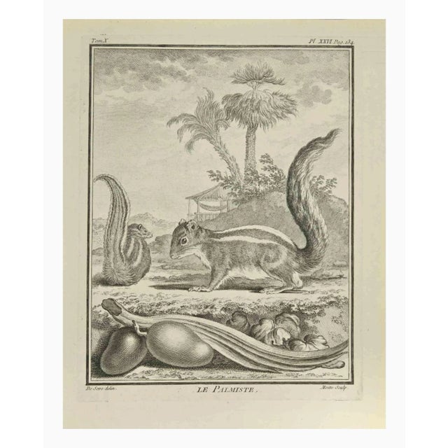 The palmist is an etching realized by Jean Moitte in 1771. It Belongs to the suite "Natural, general and particular...