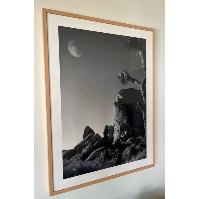 Joshua Tree Moonrise Photograph - Framed in Natural Wood Frame Frame Size: 31" x 41" Image Size: 25" x 35" Framed Weight:...