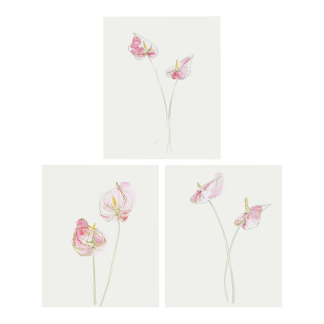 "Anthurium Lilies" Original Set of Three Watercolor Paintings by Yuki Osada For Sale