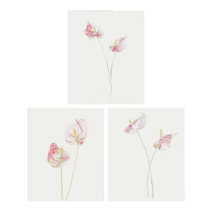 "Anthurium Lilies" Original Set of Three Watercolor Paintings by Yuki Osada
