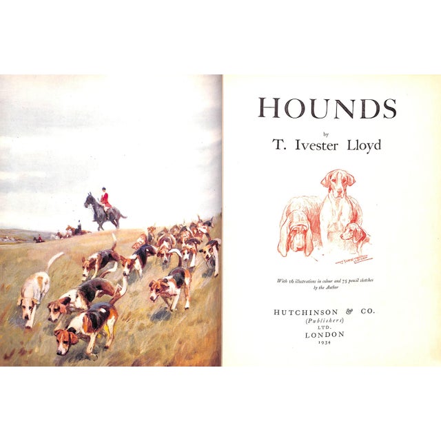 Traditional "Hounds" 1934 Lloyd, T. Ivester For Sale - Image 3 of 10