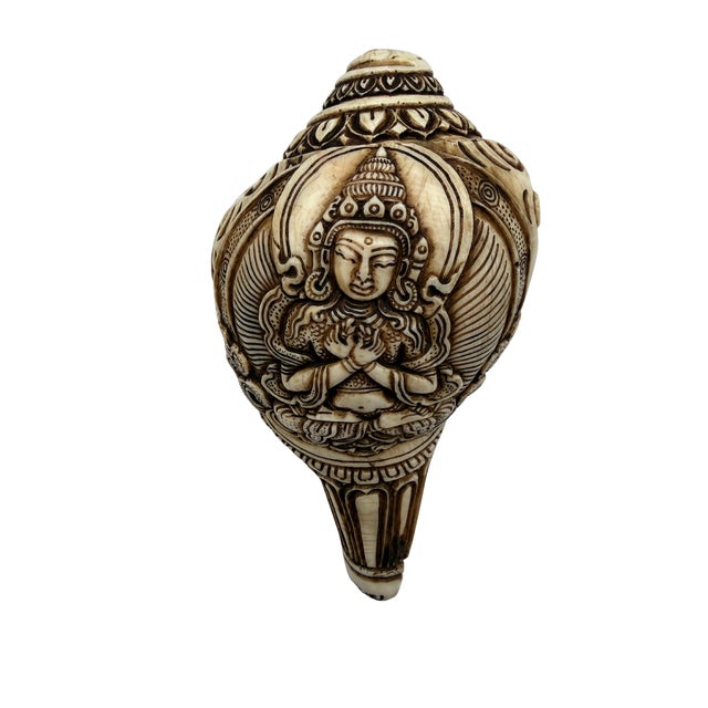 A beautifully hand-carved decorative conch shell featuring an intricate relief of Shakyamuni Buddha, the historical...