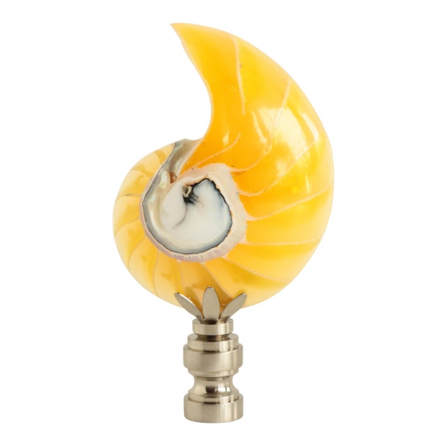 Lucite Filled Nautilus Shell Lamp Finial For Sale