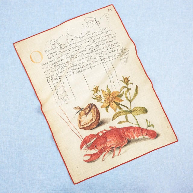 Our Botanical collection of napkins and tea towels features antique natural history engravings and watercolors with a bit...