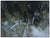 Abstract Expressionism Late 20th Century Isolated in the Swamp, John Stanford For Sale - Image 3 of 4