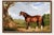 This vintage Clydesdale horse art print by John Frederick Herring brings distinguished English equestrian style to a...