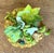 Ceramic Vintage Glazed Ceramic Lemon With Blossom For Sale - Image 7 of 12