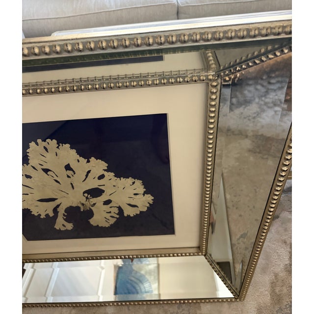 Seaweed on Navy IV and II John Richards Set Art Wall Decor For Sale In Naples, FL - Image 6 of 14