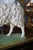 Vintage Hand-Painted English Country Grazing Sheep Sculpture on Green Plinth For Sale - Image 14 of 18