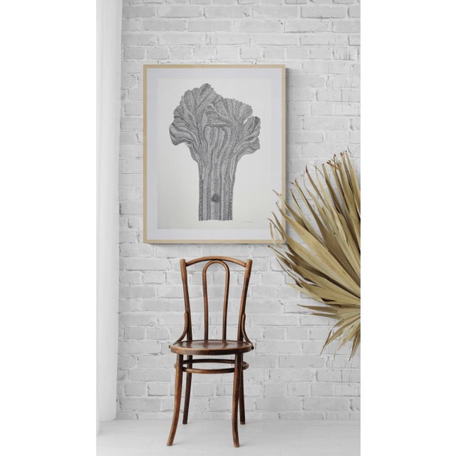 Contemporary Sarah Vaaler Original Minimalist Desert Still Life Drawing For Sale - Image 3 of 4