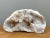 Early 20th Century Vintage White Quartz Geode For Sale - Image 5 of 12