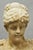 Late 20th Century Vintage Victorian Style Carved Marble Young Lady Maiden Bust Statue Sculpture For Sale - Image 5 of 16