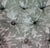 Green Vintage Upholstered American Modern Round Tufted Bench Poof Ottoman For Sale - Image 8 of 12