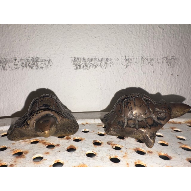 Antique Turtles in Bronze, 1900 For Sale - Image 3 of 6