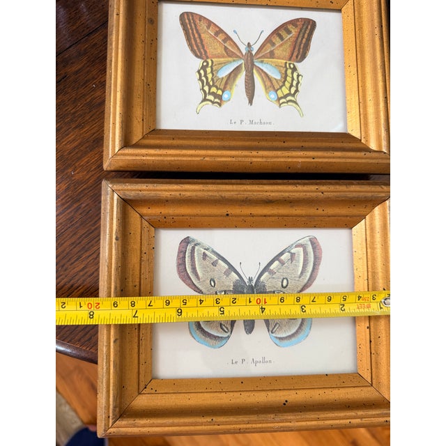 Small Vintage Butterfly Prints For Sale In Savannah - Image 6 of 7