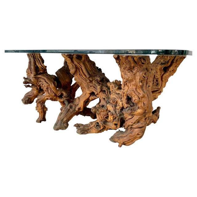 Vintage Sculptural Natural Burlwood Root Dining Table With Rectangular Glass Top For Sale - Image 18 of 18