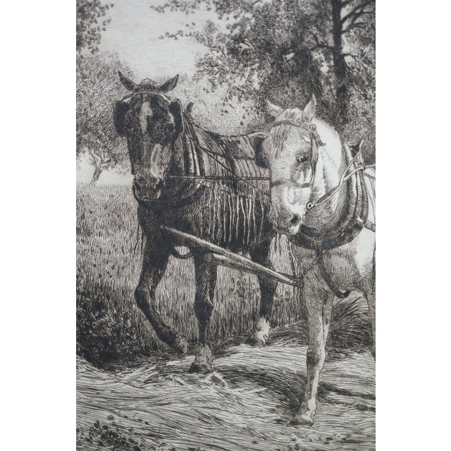 Antique Peter Moran Farming Mowing Boy Riding Plough Landscape Etching 27" For Sale - Image 11 of 11